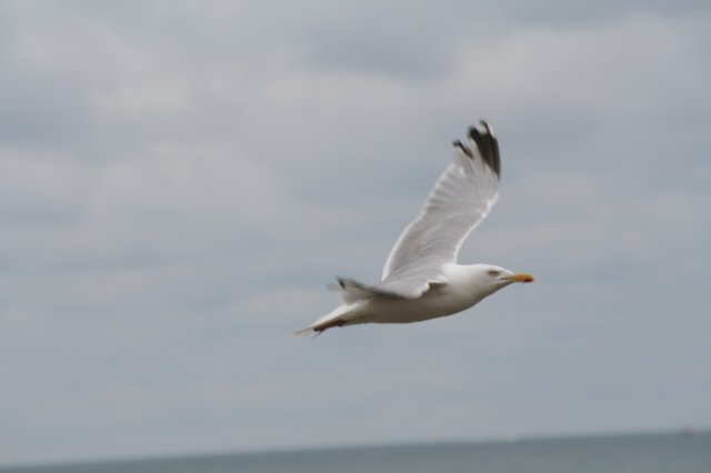 img_3359.jpg