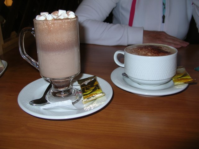 cappuccinoenhotchocolatmetminimarshmallows.jpg